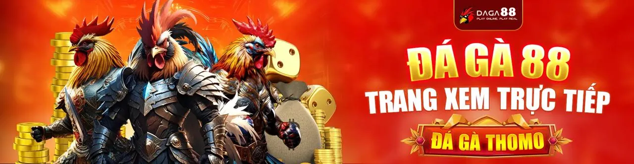 Đấu trường Đá Gà trực tuyến sôi động tại 3BET Nổ Hũ
